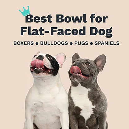 Enhanced Pet Bowl, Stainless Steel Slanted Dog Bowl with Raised Ridge for Flat-Faced Dog Breeds or Cats, Food-Grade Non-Slip No Spill Bowl for Dogs, Less Mess, Less Gas, and Better Digestion (Small) - size: Small