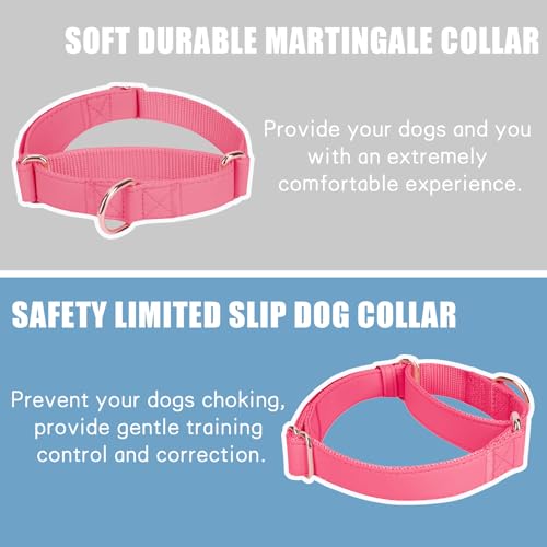 Soft Leather Martingale Dog Collar - Adjustable Rose Gold Limited Slip Collars [Easy to Clean], Stylish Durable Heavy Duty Nylon No Pull Training Collar for Small Medium Large Dogs XS Hot Pink - color: Hot Pink, size: XS (Neck 8"-11", Width 3/5")