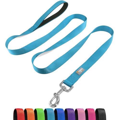 Basic Dog Leashes 6 FT Padded Handle Nylon Dogs Leashes for Small Dogs Light Blue - color: Light Blue, size: Small : 5/8" x 6 FT