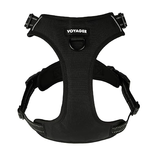 Voyager Dog Harness Dual Leash Attachment No-Pull Control Adjustable Soft but Strong Pet Harness for Medium and Large Dogs with 3M Reflective Technology, Black Nylon, S (Chest: 16-20") - color: Black Nylon, size: S (Chest: 16 - 20")