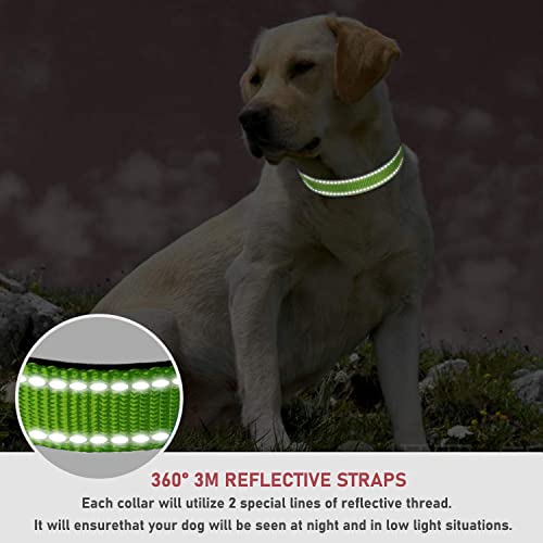 Reflective Dog Collar with Buckle Adjustable Safety Nylon Collars for Small Medium Large Dogs, Grass Green XXS - color: Grass Green, size: XX-Small :Width 3/8",Neck 8-12"