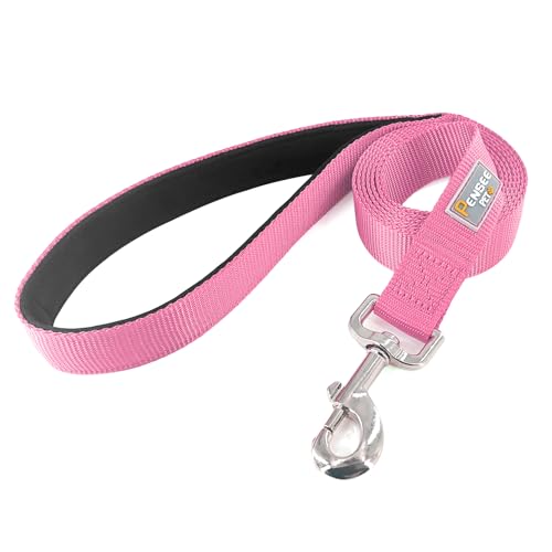 Basic Dog Leashes 6 FT Padded Handle Nylon Dogs Leashes for Small Dogs Pink - color: Pink, size: Small : 5/8" x 6 FT