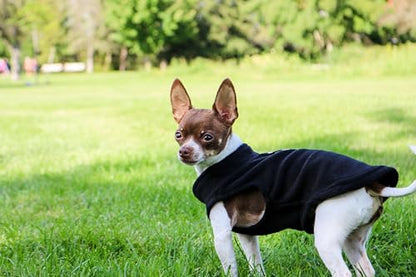 JACKO & CO - Fleece Vest Dog Sweater with Leash Ring - Soft, Warm & Lightweight Pullover Coat for Small & Medium Dogs, Puppies & Cats - Cozy Fall/Winter/Spring Pet Jacket (Black, Small 4-6lbs) - color: Black, size: S (4-6lbs)