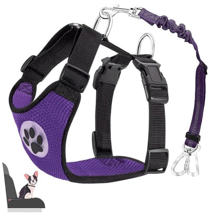 Lukovee Dog Car Harness Seat Belt, Adjustable Mesh Breathable Vest with Elastic Bungee Tether, Soft Padded 2-in-1 Safety Car Harness Seatbelt for Small Medium Large Dogs (Purple,XS) - color: Purple, size: X-Small
