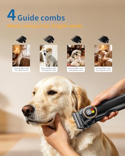 iBTC Pet Grooming Clipper Set for Thick Dense Fur, Professional Low Noise Rechargeable Pet Hair Trimmer with Ceramic Blade & Stainless Steel Scissors, Suitable for Dogs Cats
