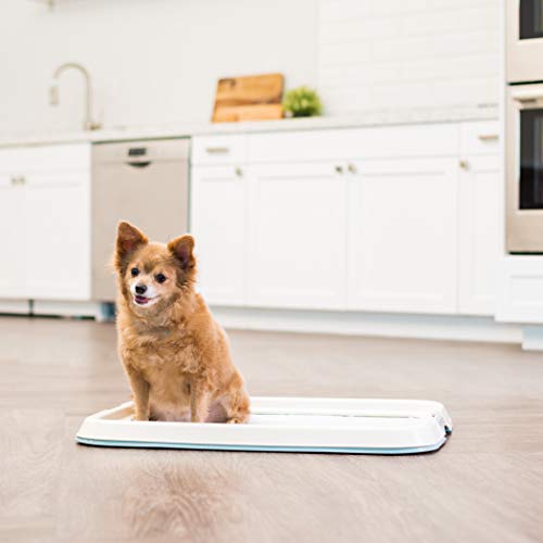IRIS USA Pee Pad Holder for Dogs and Puppies, Potty Training Tray with Secured Latches, Non-Skid Feet, Leak Protection, Easy Clean Surface, Fits 17"x 23" Puppy Pads Size, Blue - color: Blue, size: 17" x 23"