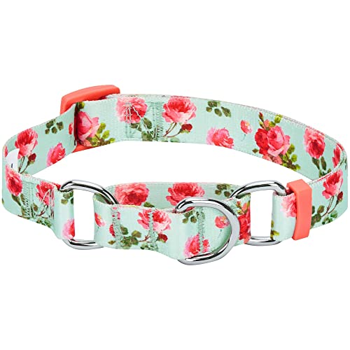 Blueberry Pet Spring Scent Inspired Rose Print Martingale Safety Training Dog Collar, Turquoise, Medium, Heavy Duty Adjustable Collars for Dogs - color: Turquoise, size: Medium