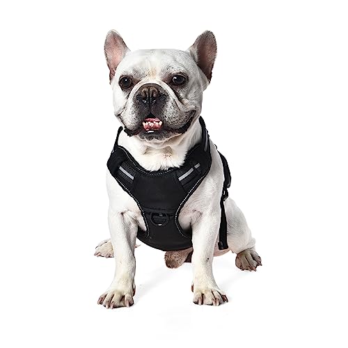 Amazon Basics No-Pull Dog Harness, Adjustable Front Clip, Escape Proof Tactical Vest, Small, Black - size: Small