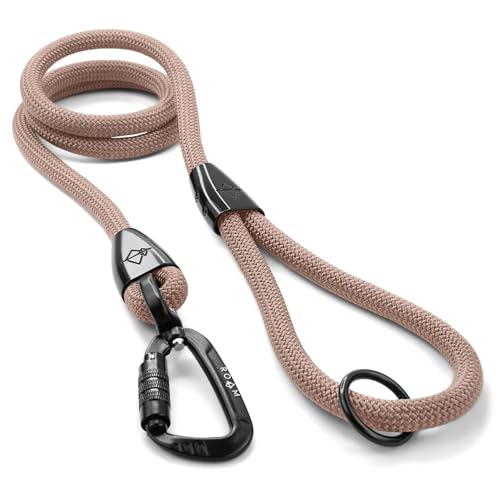 MADE TO ROAM Premium Explorer Leash - Climbing Rope Leash with Autolocking Aviation Aluminum Carabiner - Utah Glow, 4ft - color: Utah Glow, size: 4 Feet