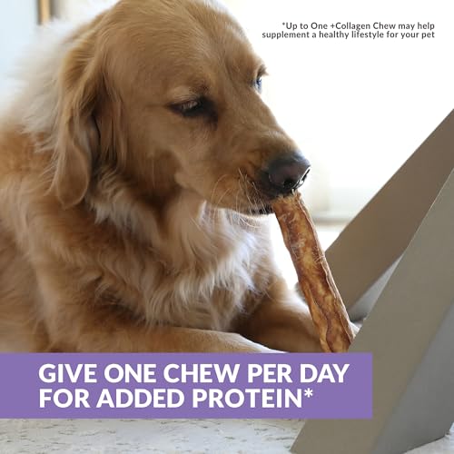 Wild Eats Collagen Chews - Stick Dog Treat for Medium & Large Dogs (10" 3ct, Real Duck) - Long Lasting, Rawhide Free, Low Fat, Grain Free Retriever Rolls - size: 11 Ounce (Pack of 3)