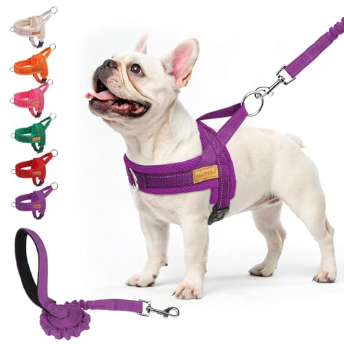 BEAUTYZOO No Pull Dog Harness Medium Sized Dog, Breathable Mesh Padded Dog Harness and Leash Set, Adjustable Reflective Escape Proof Dog Vest Harnessss Quick Fit for Training Walking, Purple M - color: Purple, size: M: Chest 21"-26.7"