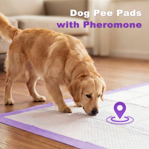 MIZOK Puppy Pads 28x34in Lavender Scented, Dog Pee Pads Extra Large Odor Eliminating Ultra Absorbent Up to 8 Cups, 6 Layers Leak-Proof & Quick-Dry Purple (40 Counts) - size: Large 28"x34“ 40 Count