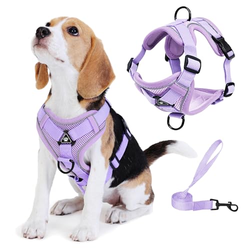 No Pull Dog Harness with Leash Set for Small Sized Dog, Reflective Adjustable No Choke Front Clip Cat Vest Harness with Breathable Mesh, Comfortable Soft Padded Pet Vest, Purple L - color: Purple, size: L (Neck 9.39-13.72'' Chest 7.81-16.87'')