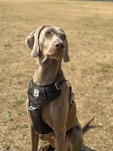 No Pull Front Clip Dog Harness, Heavy Duty 360° Reflective Dog Vest with Dual Zinc Alloy D-Rings, Soft Padded Harness with Control Handle for Small Medium Large Dogs (Black, L) - color: Black, size: L