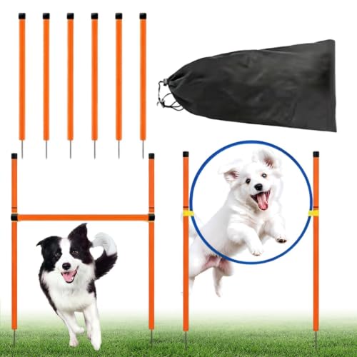 Dog Agility Course Backyard Set Exercise Game with Tunnel | Dog Outdoor Play Equipment for Outdoor Garden Park Beach Playground Field Competition Recreation - color: B