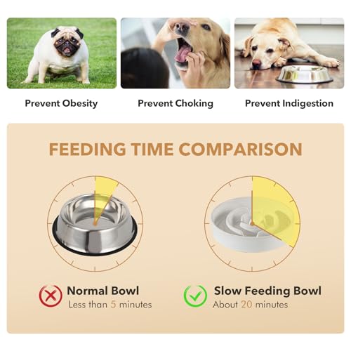 Havniva 1.6 Cup Elevated Slow Feeder Dog Bowls, 8.2” Dog Slow Feeding Bowls + 7.3” Ceramic Dog Water Bowls Set with Acacia Wood Stand Dog Food Bowls Puzzle Feeder for Medium Dogs Non-Slip Anti-choking - color: 2 x White + Stand - A, size: L- 8.2inch / 1.6