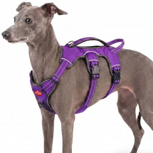 Tuff Pupper Escape Proof No Escape Dog Harness | 5 Point Adjustable Fit Harness for Dogs | Padded Dog Harnesses | Handle Dog Lift Harnesses - color: Purple, size: X-Small: 13-17 Inch Chest