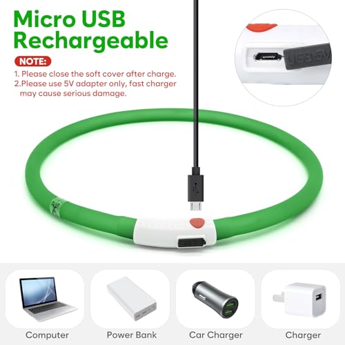 LED Dog Collar - HIGO Light Up Dog Collars Glow in the Dark, USB Rechargeable LED Dog Necklace Light for Your Dogs Walking at Night (Green-Silicone) - color: Green-Silicone