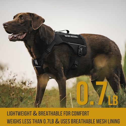 OneTigris Sentinel Pink Service Dog Vest with Patches, Reflective Lightweight Service Dog Harness with Pockets for Medium Large Dogs (Black, L: Neck 18-25", Chest 27-36") - color: Black, size: L: Neck 18-25", Chest 27-36"