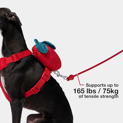 VETRESKA Crossbody Hands Free Dog Leash, 5FT Adjustable Rope Leash for Small Medium Dogs, Waist Multifunctional Leashes for Walking, No Pull Dog Leashes with Bag Dispenser, 2 in1 Walk Set (Strawberry) - color: Strawberry Red