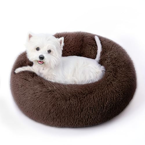 Calming Round Dog Bed & Cat Bed with Anti-Slip Bottom, Medium Size Washable Anti-Anxiety Donut Dog Beds for Small Dogs & Cats, Fluffy Plush Soft Dog Bed(24 Inch, Dark Brown) - color: Dark Brown, size: 24"l x 24"w x 8"th