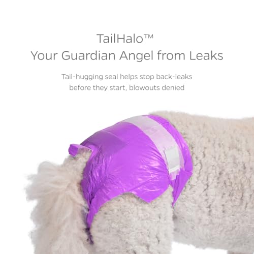 Pet Parents® DiPees® Disposable Dog Diapers + Extendrs®, Leak Proof, Up to 75% Plant Based, Premium Disposable Dog Diapers Female (Princess, Medium (14-25"), 30ct) - color: Princess, size: Medium (14-25")