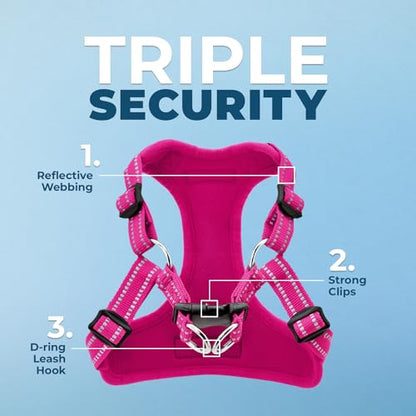 Best Pet Supplies Voyager Adjustable Step-In Flex Breathable Mesh Dog Harness for Small Medium Large Dogs (Fuchsia), XL - color: Harness (Fuchsia), size: XL