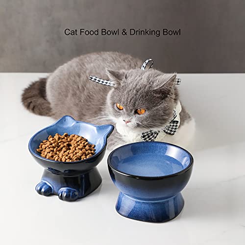 Nihow Elevated Cat Bowls,5 Inch Ceramic Raised Cat Food and Water Bowl Set | Slanted,Whisker Friendly,for Protecting Pet's Spine,Microwave & Dishwasher Safe ,Elegant Blue & Black 4.5 OZ, Set of 2 - color: Blue & Black, size: 4.5 OZ+8 OZ