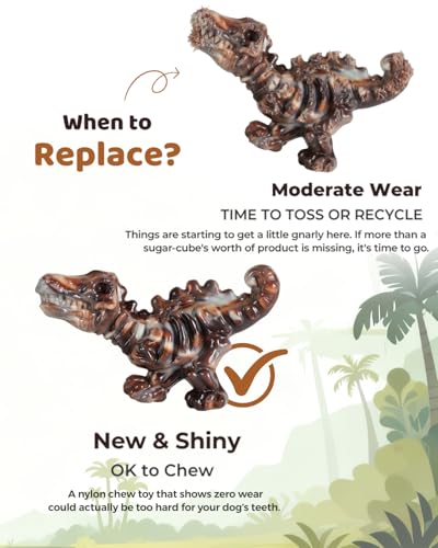 DinoBone 2-Pack Tough Dog Chew Toys for Aggressive Chewers, Rock-Hard Nylon Dinosaur Bones for Large Dogs 20–90 lbs, Almost Indestructible Dog Toys, Helps Redirect Destructive Chewing, Bacon Flavor