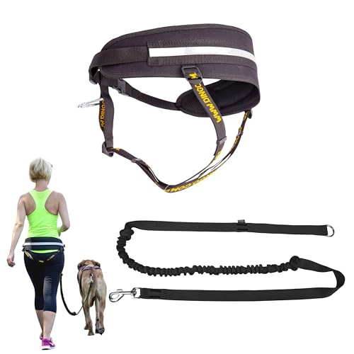 Dingo Hands Free Leash and Belt for Walking and Running with Dog, Bungee Training Leash, o-Ring Z30004