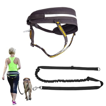 Dingo Hands Free Leash and Belt for Walking and Running with Dog, Bungee Training Leash, o-Ring Z30004