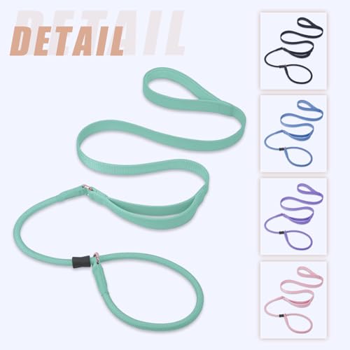 Slip Lead Dog Leash, Dog Training Leash with Double Handle, Soft Leather Slip Leash and Collar, Heavy Duty Nylon Dog Lead, No Pull Walking for Medium Large Small Dogs 6ft Mint Green - color: Mint Green, size: 6ft