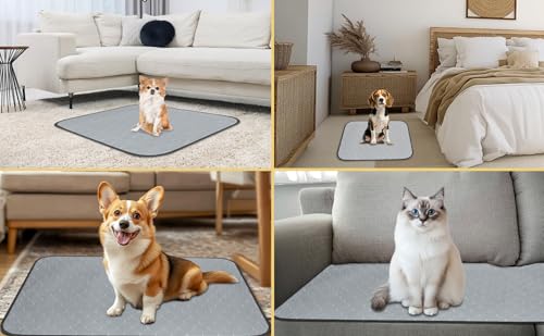 DAHAPYBOO Extra Large Washable Pee Pads for Dogs 36x72,4 Pack | Reusable Puppy Pads for Dogs Non-Slip Waterproof Pet Training Pads for Crate, Playpen, Bed, Sofa,Whelping Box, Potty Training - size: 36X72-4P