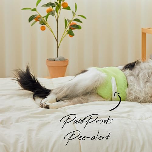 WICKEDPUP Male Dog Belly Band Kit, 50 Diaper Pads & 1 Reusable Male Wrap (Size 3 (21.5"-26" Waist)) - size: Size 3 (21.5"-26" Waist)