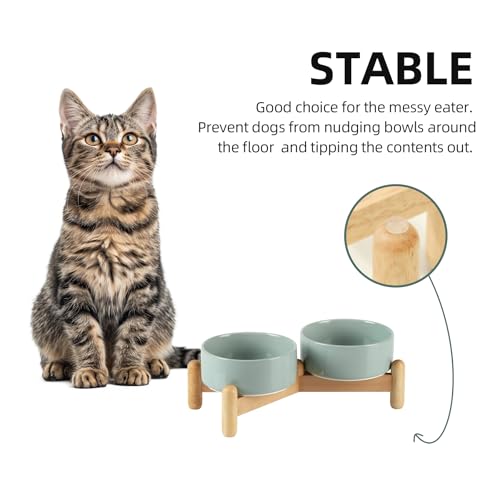 Havniva 5.1inch Ceramic Raised Dog Bowl with Stand, Double Dog Bowls Elevated for Small Breed Dog Food and Water Bowl Set Non-Slip Dog Dish Large Capacity Feeding Pet Water Bowl - color: 2 Bowls+Stand - Light Green, size: 5.1inch