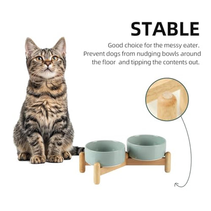 Havniva 5.1inch Ceramic Raised Dog Bowl with Stand, Double Dog Bowls Elevated for Small Breed Dog Food and Water Bowl Set Non-Slip Dog Dish Large Capacity Feeding Pet Water Bowl - color: 2 Bowls+Stand - Light Green, size: 5.1inch