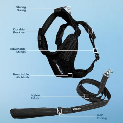 Best Pet Supplies Voyager Step-in Lock Pet Harness w Reflective Pet Leash Combo Set with Neoprene Handle 5ft - Supports Small, Medium and Large Breed Puppies/Cats - Black, S - color: Harness Leash Set (Black), size: S (Chest: 15 - 18")