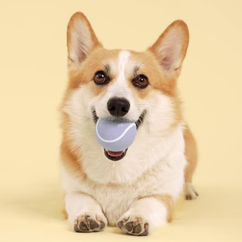 Playology Dog Toys | Squeaky Chew Ball for Dogs | Lamb Scented Medium Dog Ball | Bouncy Floating Chew Toys for Fetch - size: Medium, style: Lamb