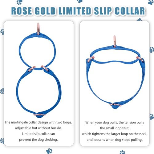 Soft Leather Martingale Dog Collar - Adjustable Rose Gold Limited Slip Collars [Easy to Clean], Stylish Durable Heavy Duty Nylon No Pull Training Collar for Small Medium Large Dogs XS Dark Blue - color: Dark Blue, size: XS (Neck 8"-11", Width 3/5")