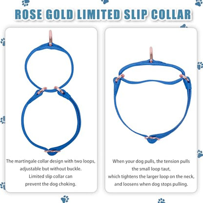 Soft Leather Martingale Dog Collar - Adjustable Rose Gold Limited Slip Collars [Easy to Clean], Stylish Durable Heavy Duty Nylon No Pull Training Collar for Small Medium Large Dogs XS Dark Blue - color: Dark Blue, size: XS (Neck 8"-11", Width 3/5")