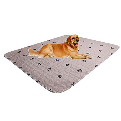 Washable Dog Pee Pads with Puppy Grooming Gloves,Puppy Pads,Reusable Pet Training Pads,Large Dog Pee Pad,Waterproof Pet Pads for Dog Bed Mat,Super Absorbing Whelping Pads - size: 36x48 Inch (Pack of 2)