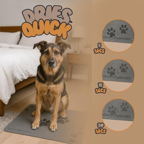 Quinn Essentials Dog Water & Feeding Mat Fast-Dry Diatomaceous Stone Tray for Bowls, Anti-Slip, Spill Control, Cleaner Area, Cat Feeding Tray, Travel Pet Mat
