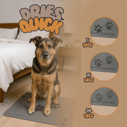 Quinn Essentials Dog Water & Feeding Mat Fast-Dry Diatomaceous Stone Tray for Bowls, Anti-Slip, Spill Control, Cleaner Area, Cat Feeding Tray, Travel Pet Mat