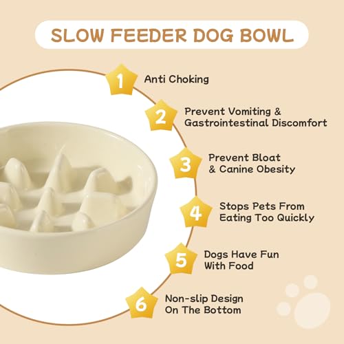 Havniva 6.1” Raised Slow Feeder Dog Bowls Set, 0.9 Cups Ceramic Slow Feeder Dog Bowl and 6.1” Dog Water Bowl with Elevated Wooden Stand Puzzle Dog Food Bowl for Small Dogs Anti-Gulping & Anti-Choking - color: 2 x Light Yellow+Stand-C, size: 6.1inch