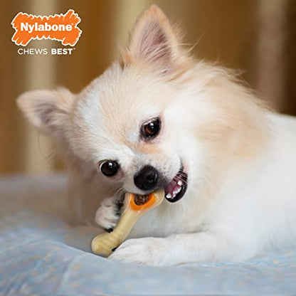 Nylabone Power Chew Knuckle Bone Pop-In Treat Toy for Dogs, Interactive Treat Dispensing Dog Chew Toys to Keep Them Busy, Slow Feeder, Long Lasting Chicken Flavor, X-Small Dogs - Up to 15 lbs - size: X-Small