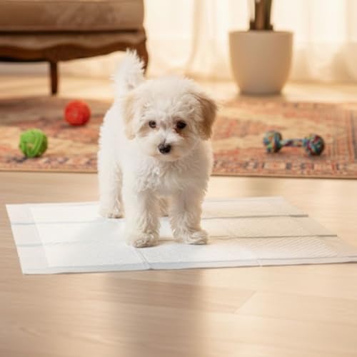 PuppyLamb 6-Layer Ultra Absorbent Pet Training Pee Pads - Quick-Dry Potty Pads with SPA Water-Locking Polymer, Leak-Proof PE Bottom Film & Odor Control for Dogs, Cats & Rabbits (Small/Large) - size: Large