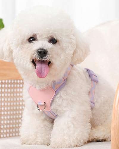 Petank Purple Large Dog Harness for Large Dogs, No Pull Dog Harness with 2 Leash Clips, Puppy Harness, Adjustable Dog Vest Harness (Purple, L) - color: Purple, size: L