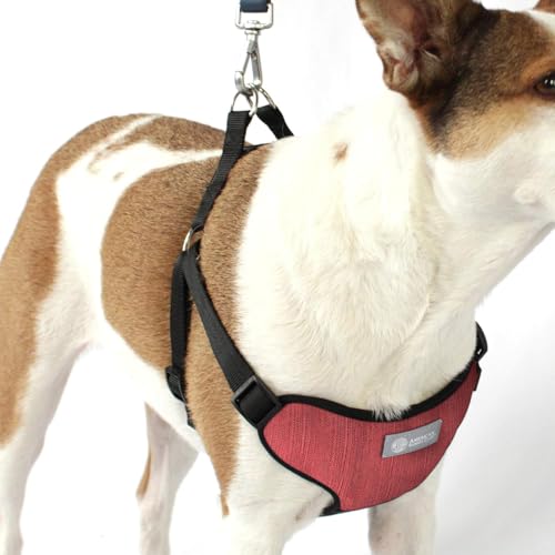 AKC Striped Step-in Dog Harness – No Pull Adjustable Vest with Dual D-Rings, Easy On/Off – Small, Medium & Large Sizes in Black, Gray, Navy & Red - color: Red, size: Large