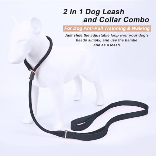 Slip Lead Dog Leash, Soft Leather Dog Training Leash with Double Handle, Heavy Duty Nylon Dog Lead Slip Lead and Collar, No Pull Walk for Medium Large Small Dogs 6ft Black - color: Black, size: 6ft