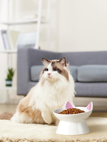 ABRUTY Cat Food Bowl, 5 OZ Ceramic Elevated Kitten Water Bowl, 15° Tilted Raised Pet Feeder, Anti Vomiting and Whisker Friendly Dishes for Fat Faced, Cat, Kitten, Small Dog - color: Pink Cat, size: 1 Pack